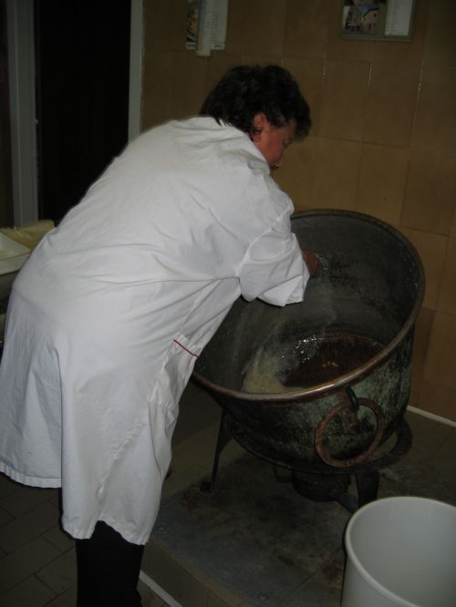 scuola di formaggio-60.JPG
